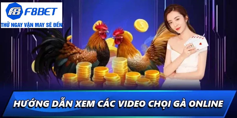 hướng dẫn xem video đá gà